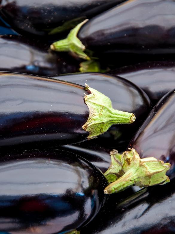Free stock image of Organic eggplants created by Luka