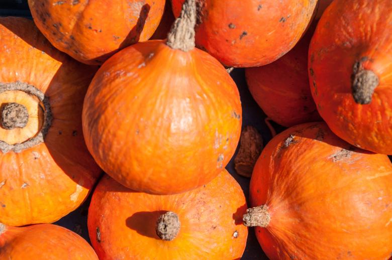 Free stock image of Small pumpkins created by Luka