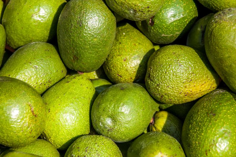 Free stock image of Avocado background on a market stail created by Luka