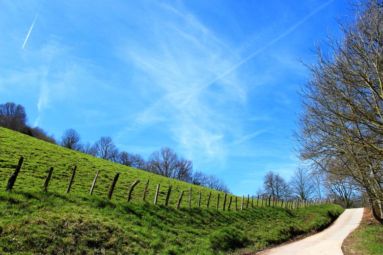 Free stock image of Country road created by Imágenes Gratis