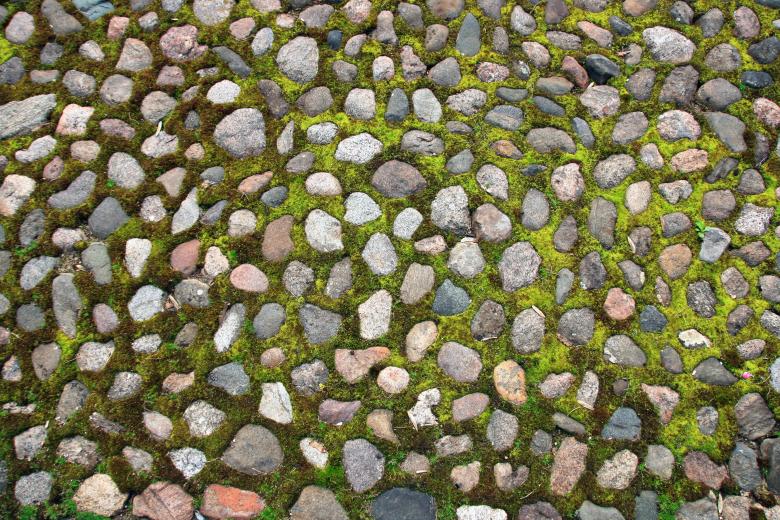 Free stock image of Stone with Grass created by 2happy