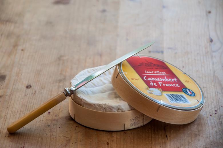 Free stock image of Camembert cheese created by Luka