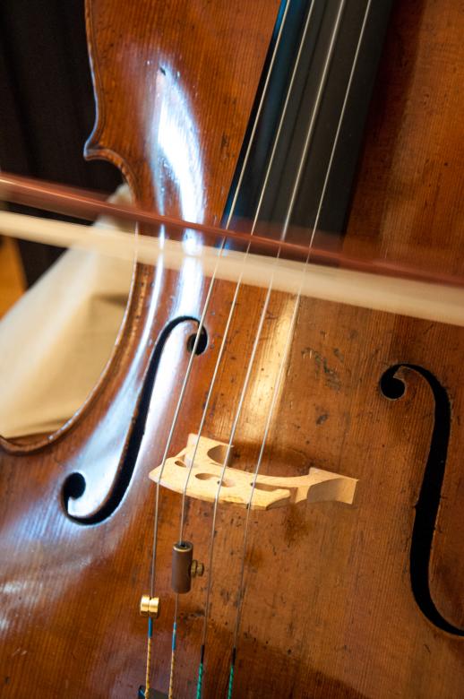 Free stock image of Cello professional player with symphony  created by Luka