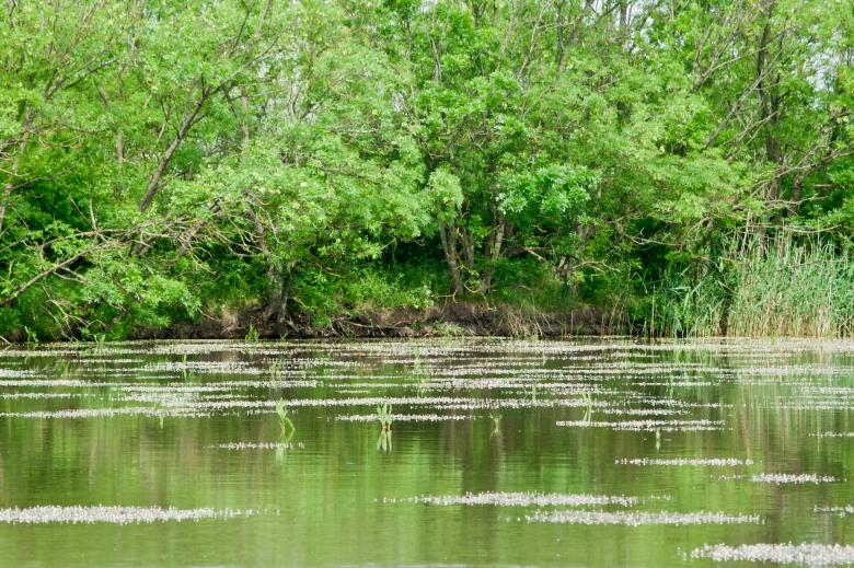 Free stock image of Lakeside landscape created by Dovicsin András