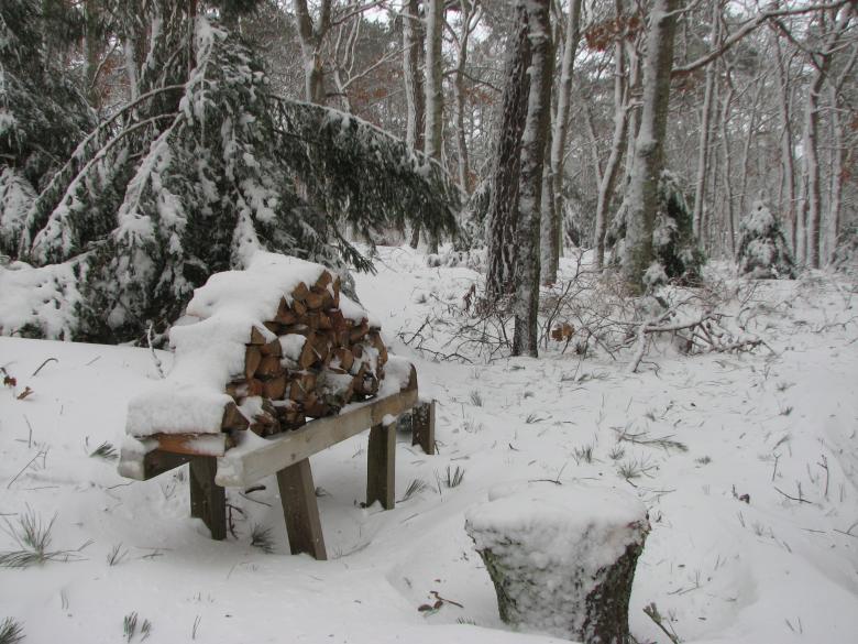 Free stock image of Wood pile in snow created by Katharine Sparrow