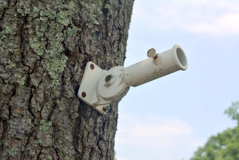 Free stock image of Flag Holder On Tree created by Vincent alvino