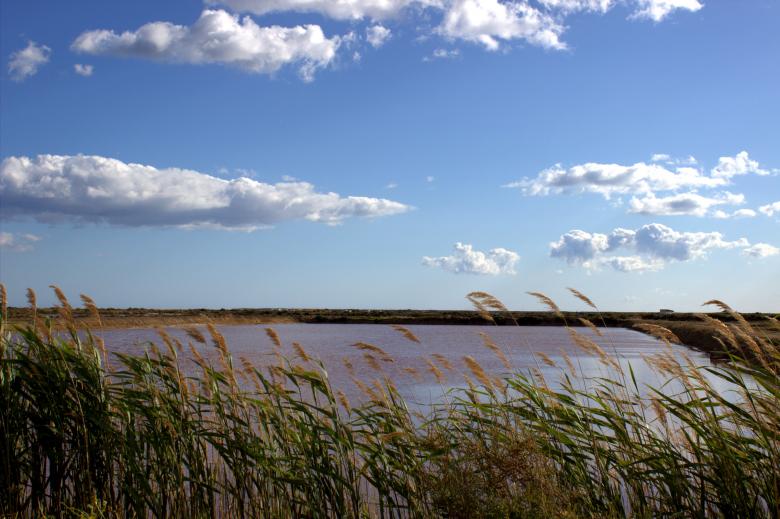 Free stock image of Lake and sky created by Jack Moreh