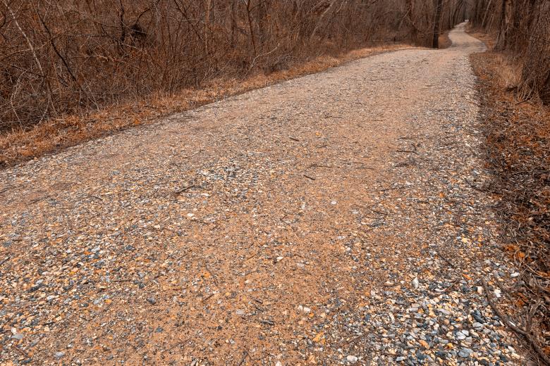 Free stock image of Edwards Ferry Trail - HDR created by Nicolas Raymond