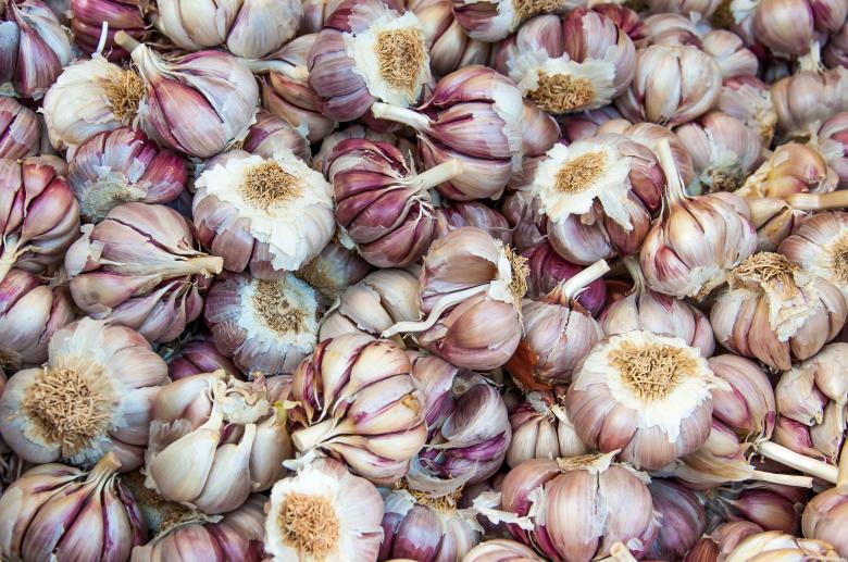 Free stock image of Fresh garlic in a market created by Luka