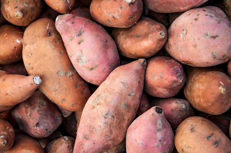 Free stock image of Organic sweet potatoes created by Luka