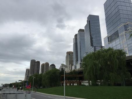 Skyscrapers in the City - Free Stock Photo