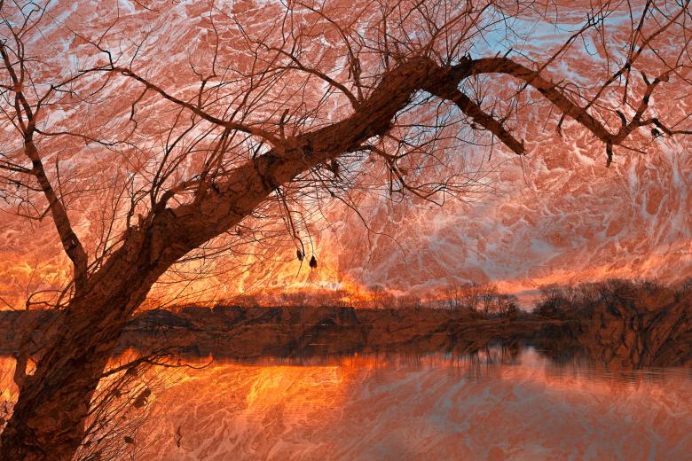Free stock image of River Wood Sunset created by Nicolas Raymond