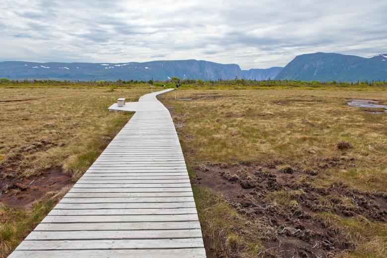 Free stock image of Boardwalk created by Geoffrey Whiteway