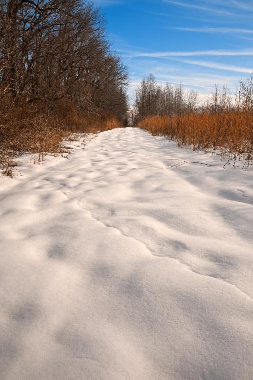 Free stock image of North Point Winter Trail - HDR created by Nicolas Raymond