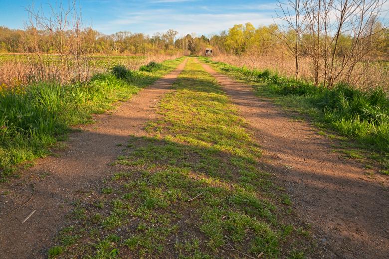 Free stock image of McKee-Beshers Trail - HDR created by Nicolas Raymond