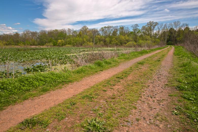Free stock image of McKee-Beshers Trail - HDR created by Nicolas Raymond