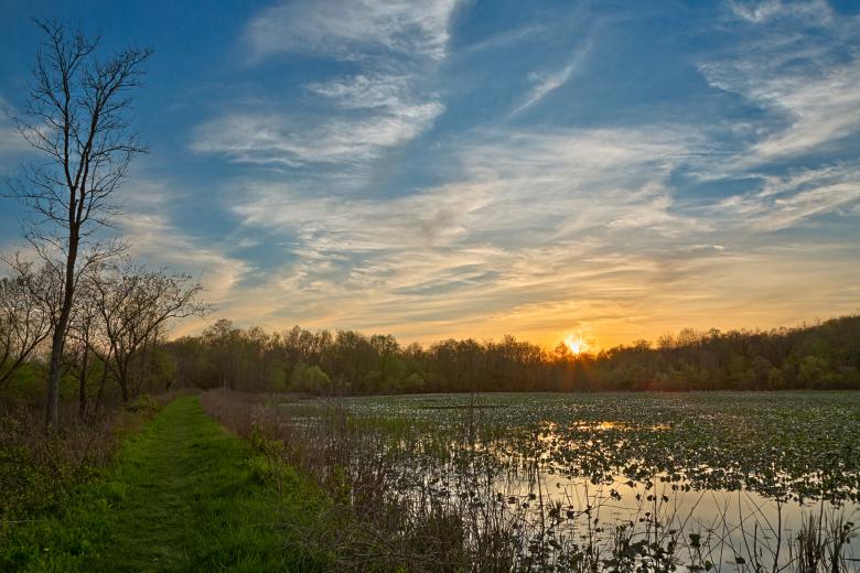 Free stock image of McKee-Beshers Sunset Marsh - HDR created by Nicolas Raymond