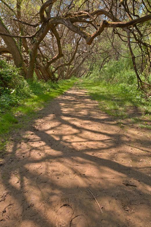 Free stock image of Wye Island Ferry Point Trail - HDR created by Nicolas Raymond