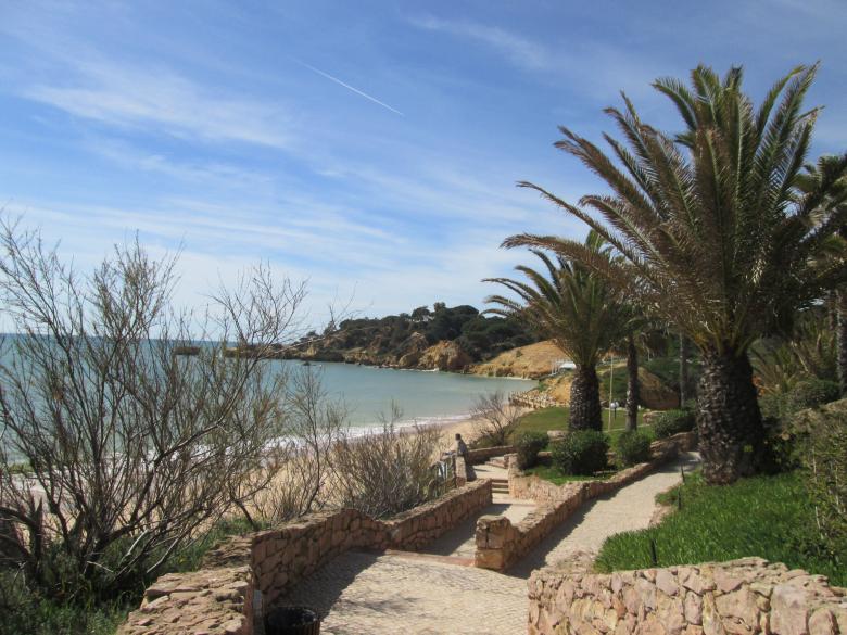 Free stock image of Beautiful Island created by Oriel Aurelia Hanson