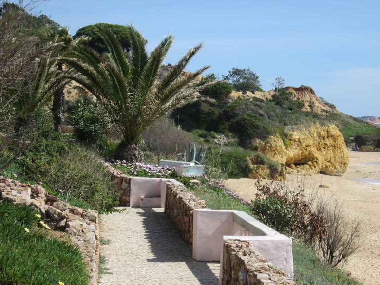 Free stock image of On the Island created by Oriel Aurelia Hanson