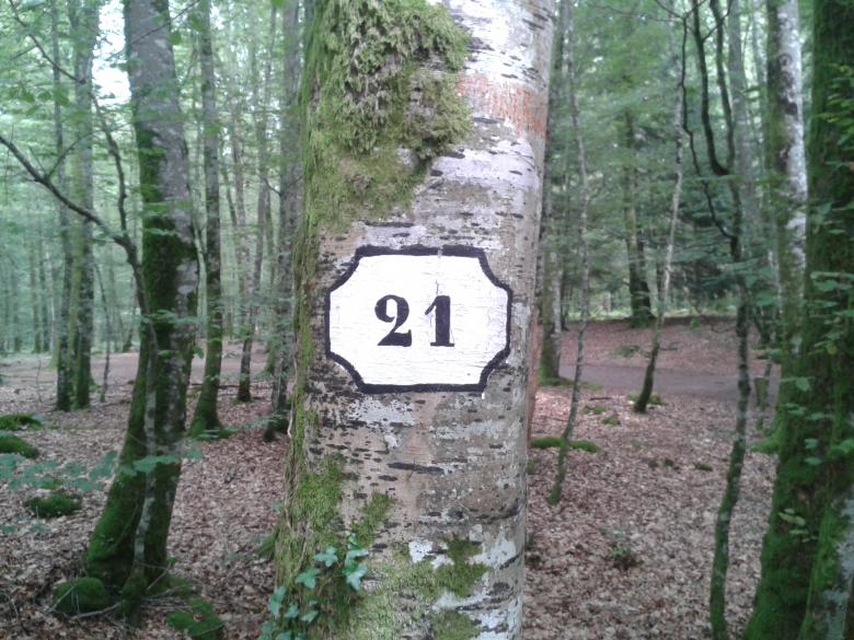 Free stock image of Number 21 created by TelUrban