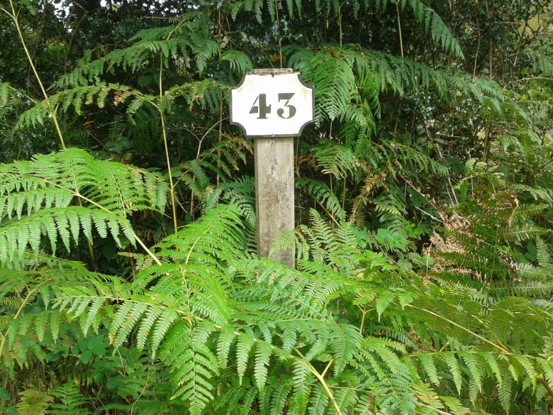 Free stock image of Number 43 created by TelUrban