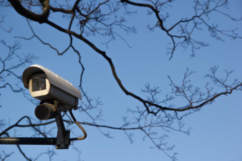 Free stock image of Security camera and tree created by 2happy