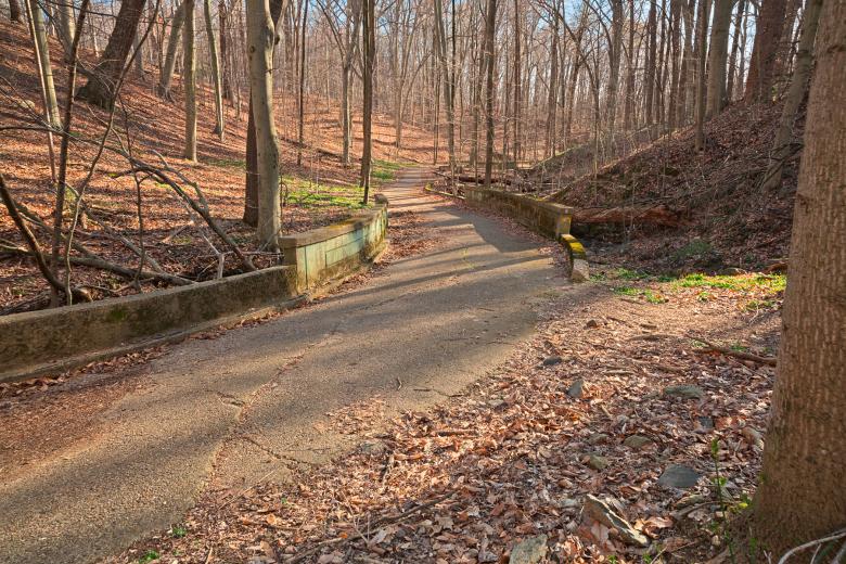 Free stock image of Rustic Forest Trail - HDR created by Nicolas Raymond