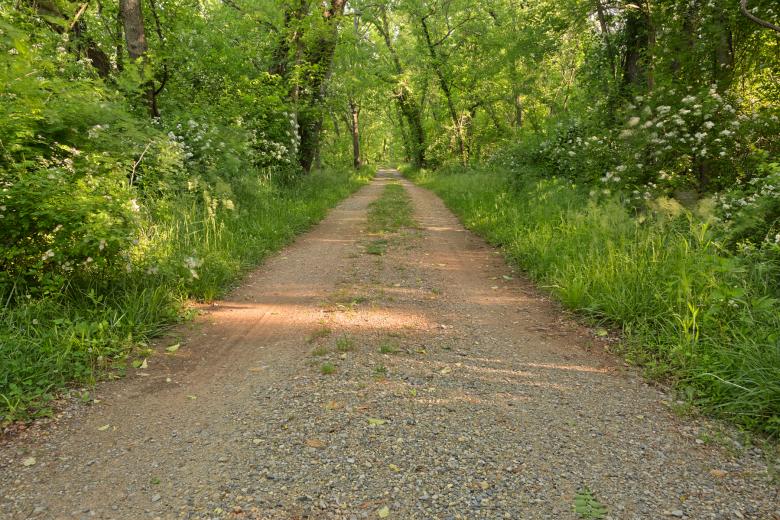 Free stock image of Edwards Ferry Spring Trail - HDR created by Nicolas Raymond