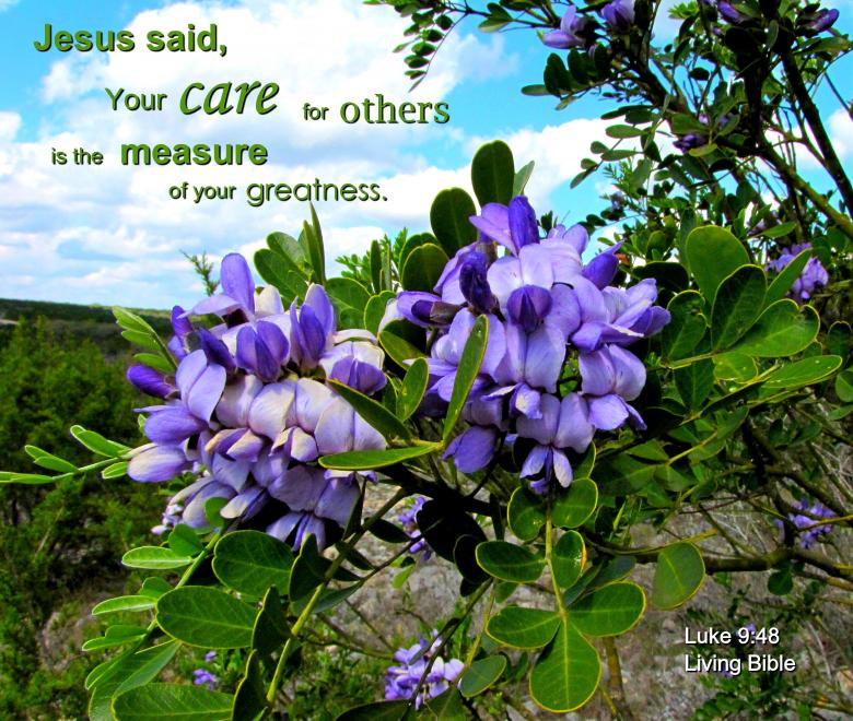 Free stock image of Care for Others created by DFNatureAwed
