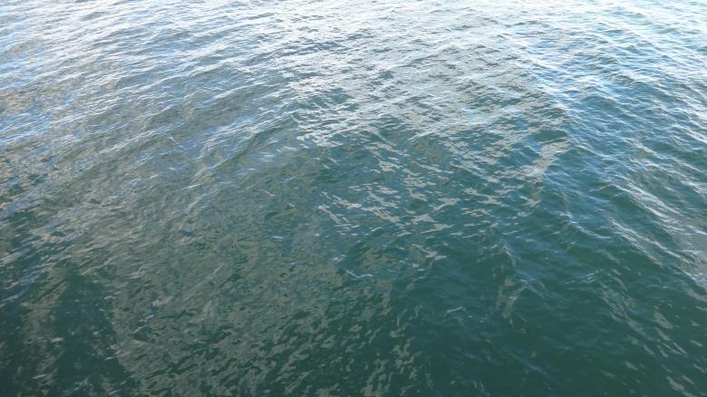 Free stock image of Ocean Southampton created by Wady Galfskiy