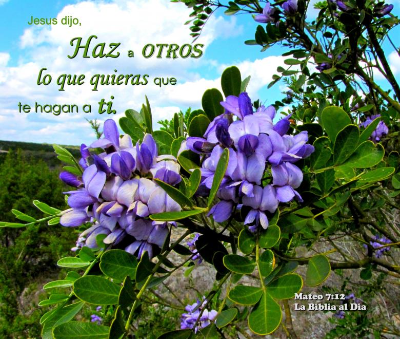 Free stock image of Haz a Otros created by DFNatureAwed