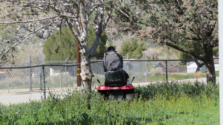 Free stock image of Riding in the Park created by Vanessa Woolverton