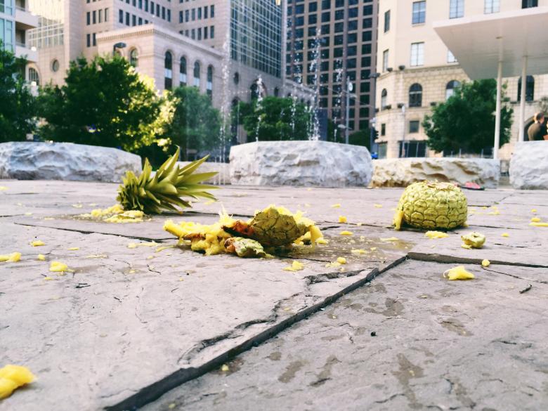 Free stock image of Fallen Pineapple created by Ashley Baker
