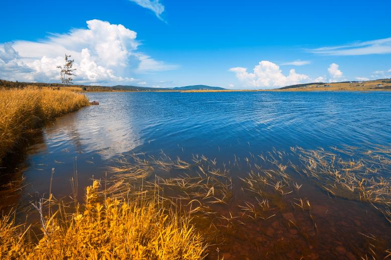 Free stock image of Gold Beaver Brook - HDR created by Nicolas Raymond
