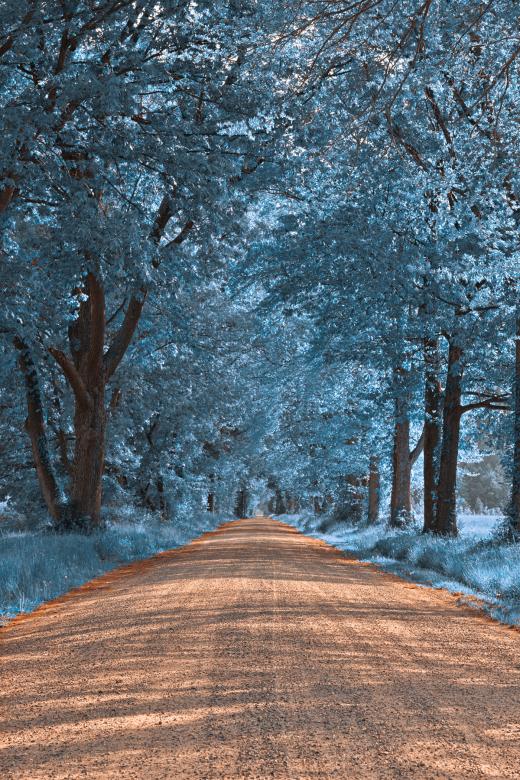 Free stock image of Wye Island Sapphire Road - HDR created by Nicolas Raymond