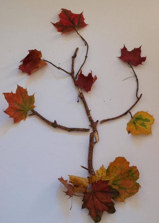 Free stock image of Fall tree recreated created by Marko Mäkinen