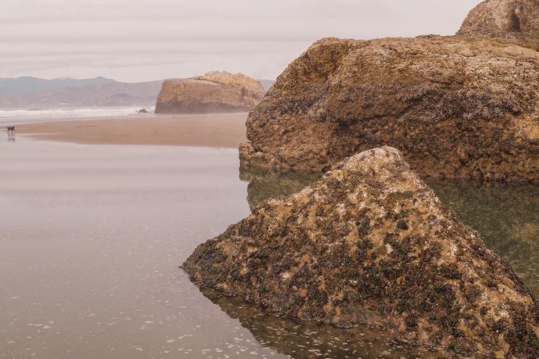 Free stock image of The Island created by Brianna Mills