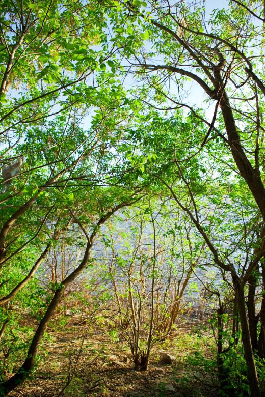 Free stock image of Spring created by 2happy