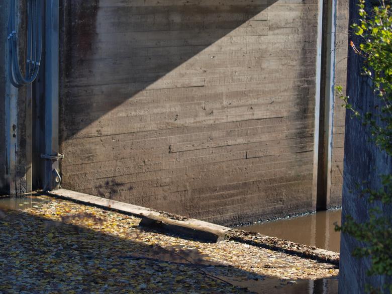 Free stock image of Small dam created by Marko Mäkinen