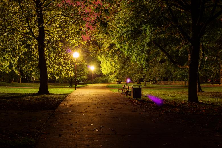 Free stock image of Night in the Park created by Frantisek Pech