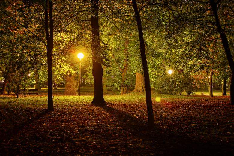 Free stock image of Night in the Park created by Frantisek Pech