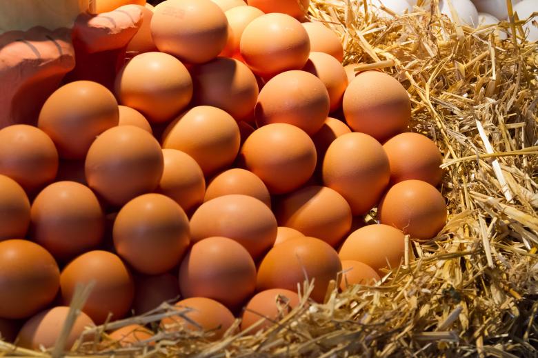 Free stock image of Eggs created by Geoffrey Whiteway