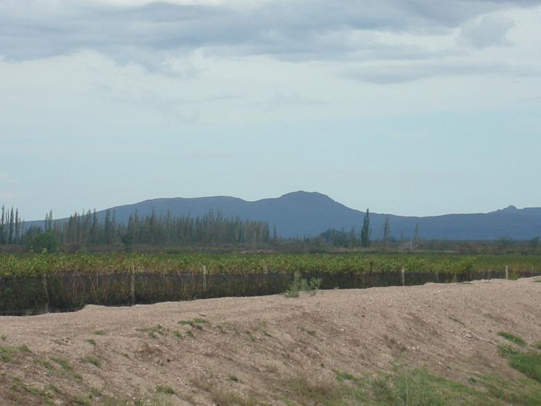 Free stock image of Wineyard created by Fernando M Salinas