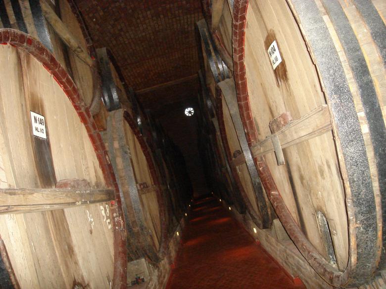 Free stock image of Giant Wine Barrels created by Fernando M Salinas