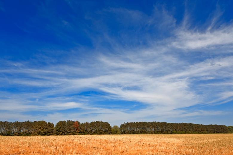 Free stock image of Wye Island Sky Field - HDR created by Nicolas Raymond