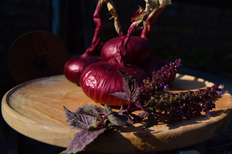 Free stock image of Red onion created by Olga Gladkikh