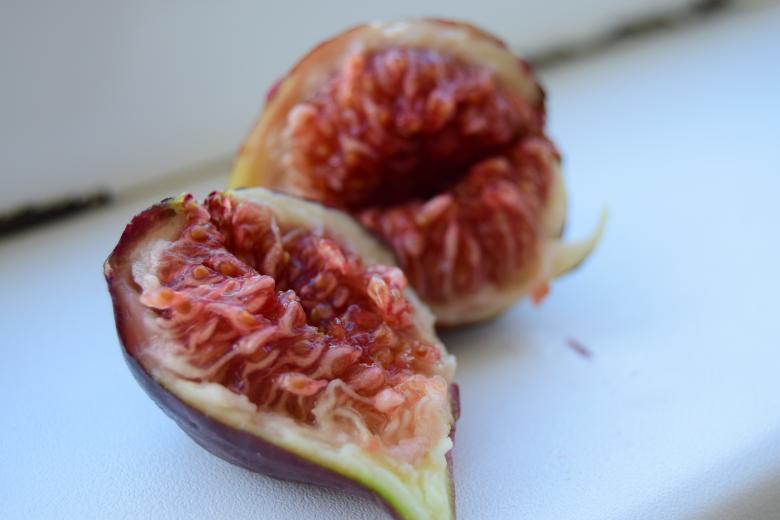 Free stock image of Figs created by Olga Gladkikh
