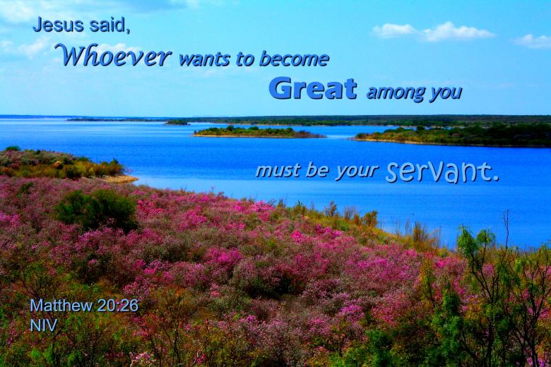 Free stock image of Servant is Greatest created by DFNatureAwed