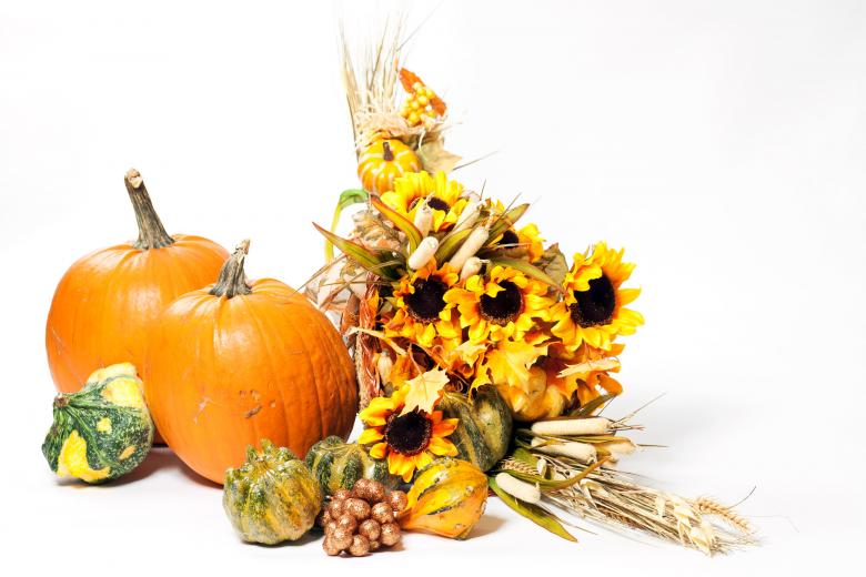 Free stock image of Fall Cornucopia on a White Background created by Geoffrey Whiteway
